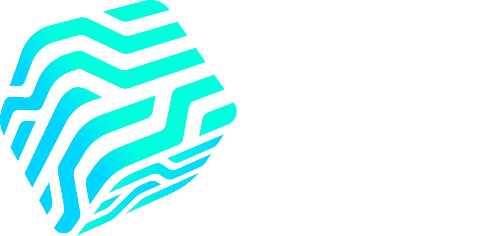 IN3 Logo